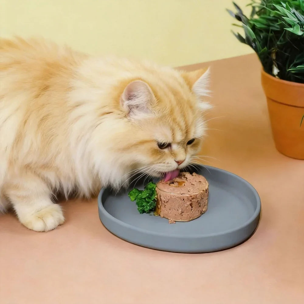 NUTRITION & TREATS