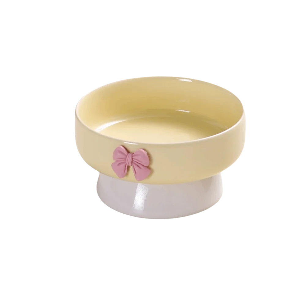 Large Ceramic Pet Bowl with Non-Slip Base