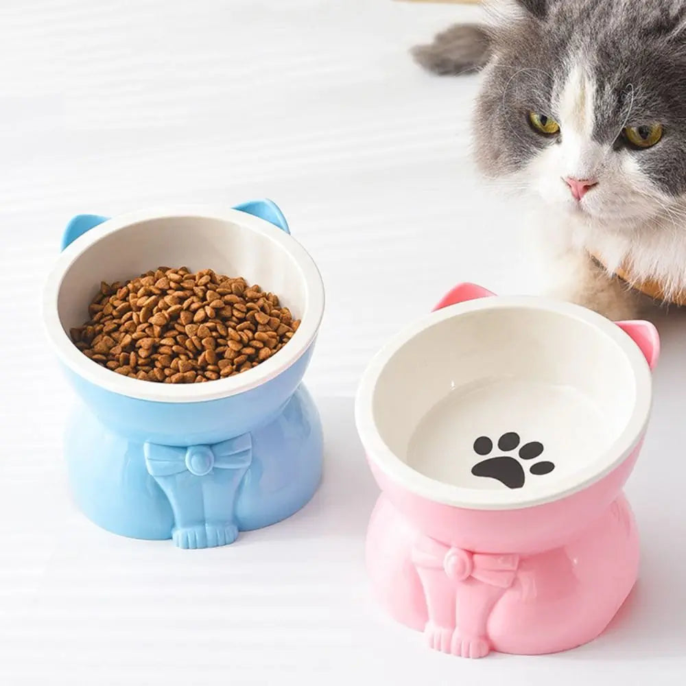 Ceramic Slanted Pet Food & Water Bowl
