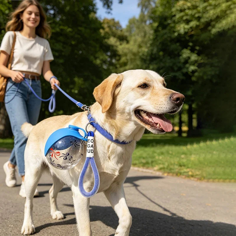Portable Stainless Steel Pet Water Dispenser