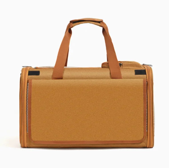 Foldable Breathable Mesh Pet Carrier Tote