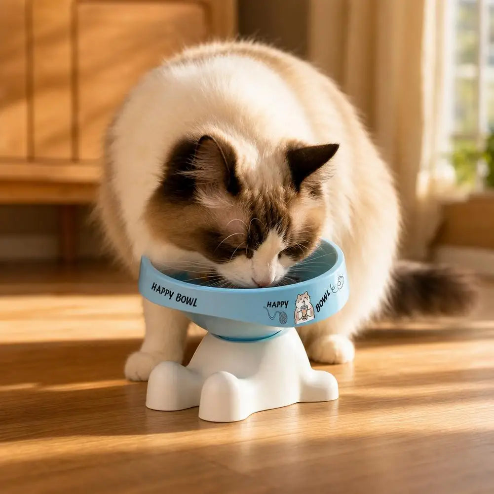 Stainless Steel Cat Bowl with Non-Slip Base