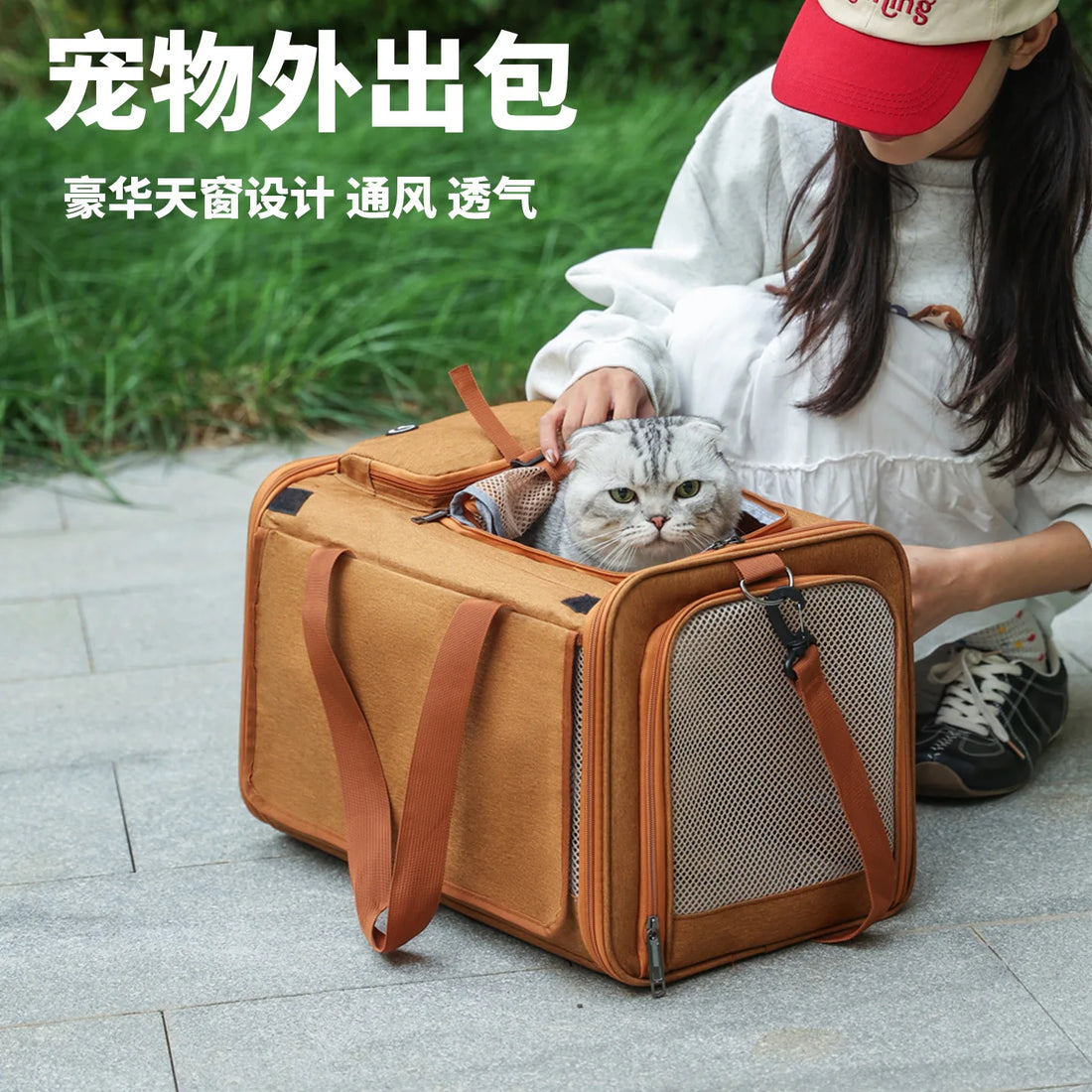 Foldable Breathable Mesh Pet Carrier Tote