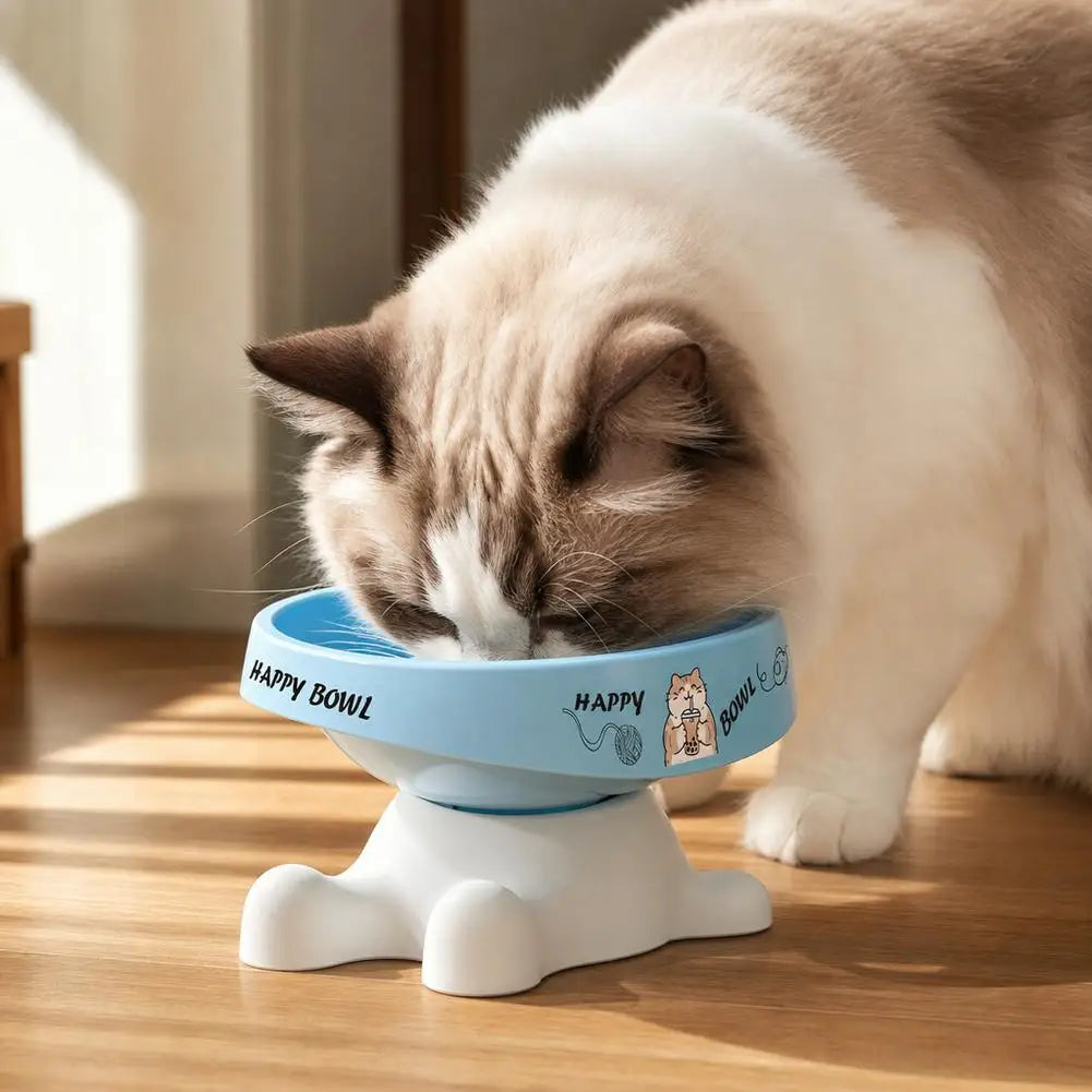 Stainless Steel Cat Bowl with Non-Slip Base