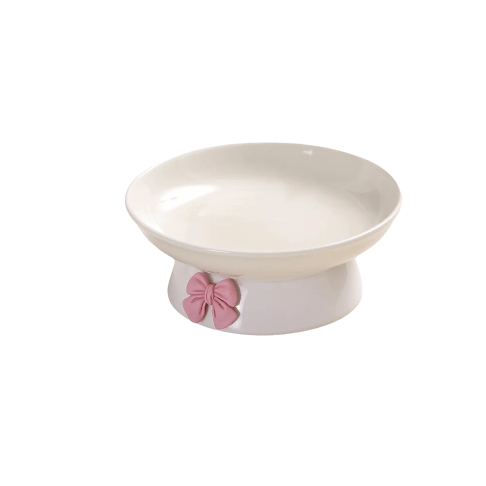 Large Ceramic Pet Bowl with Non-Slip Base