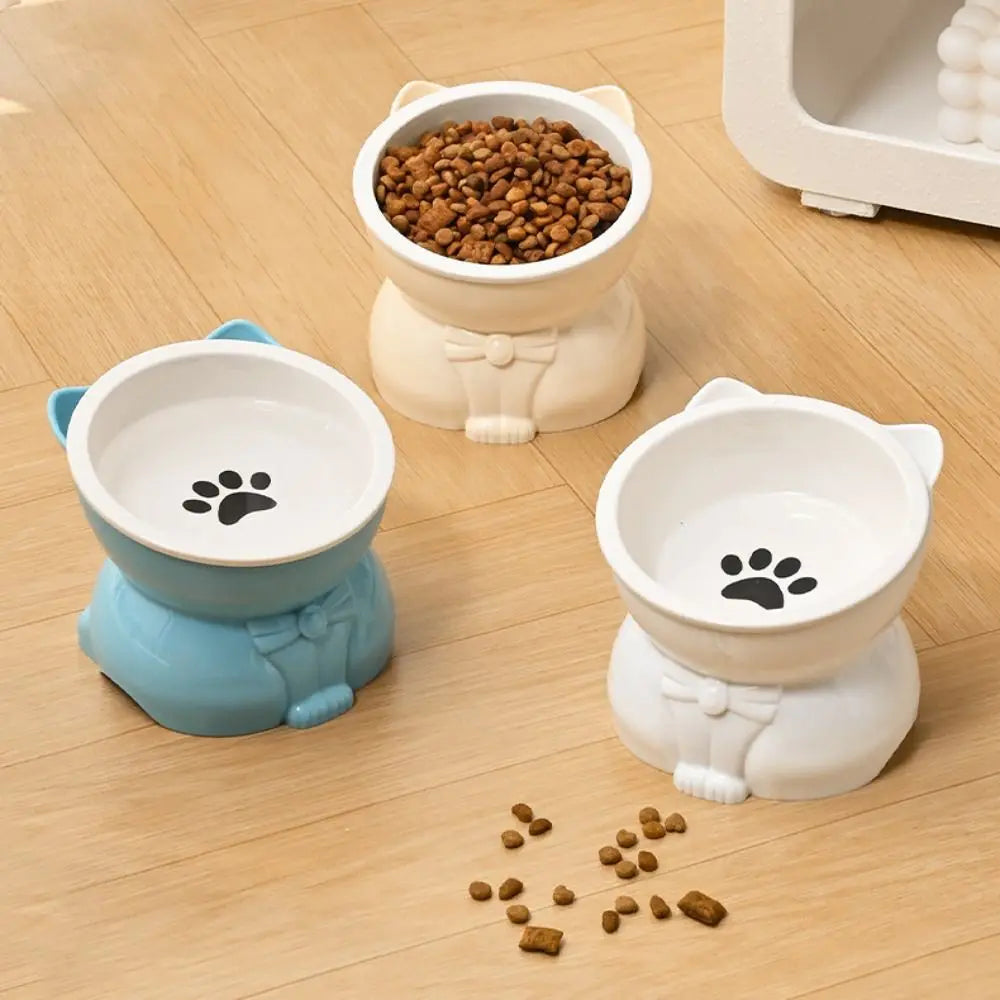 Ceramic Slanted Pet Food & Water Bowl