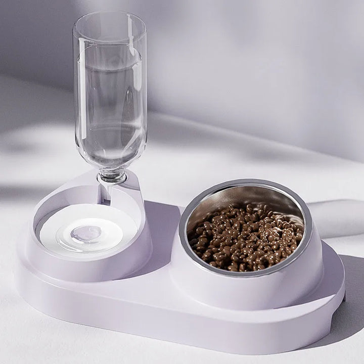 Automatic Pet Feeder & Water Bowl
