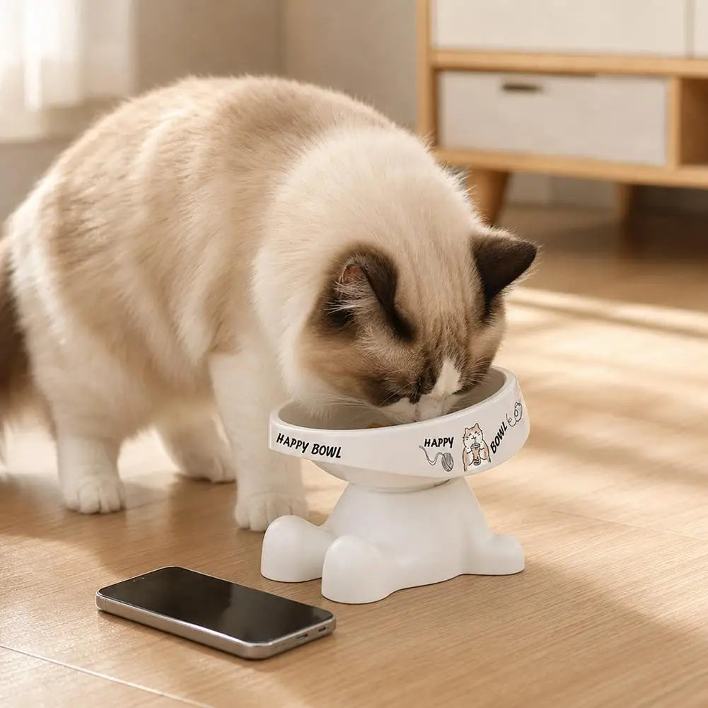 Stainless Steel Cat Bowl with Non-Slip Base