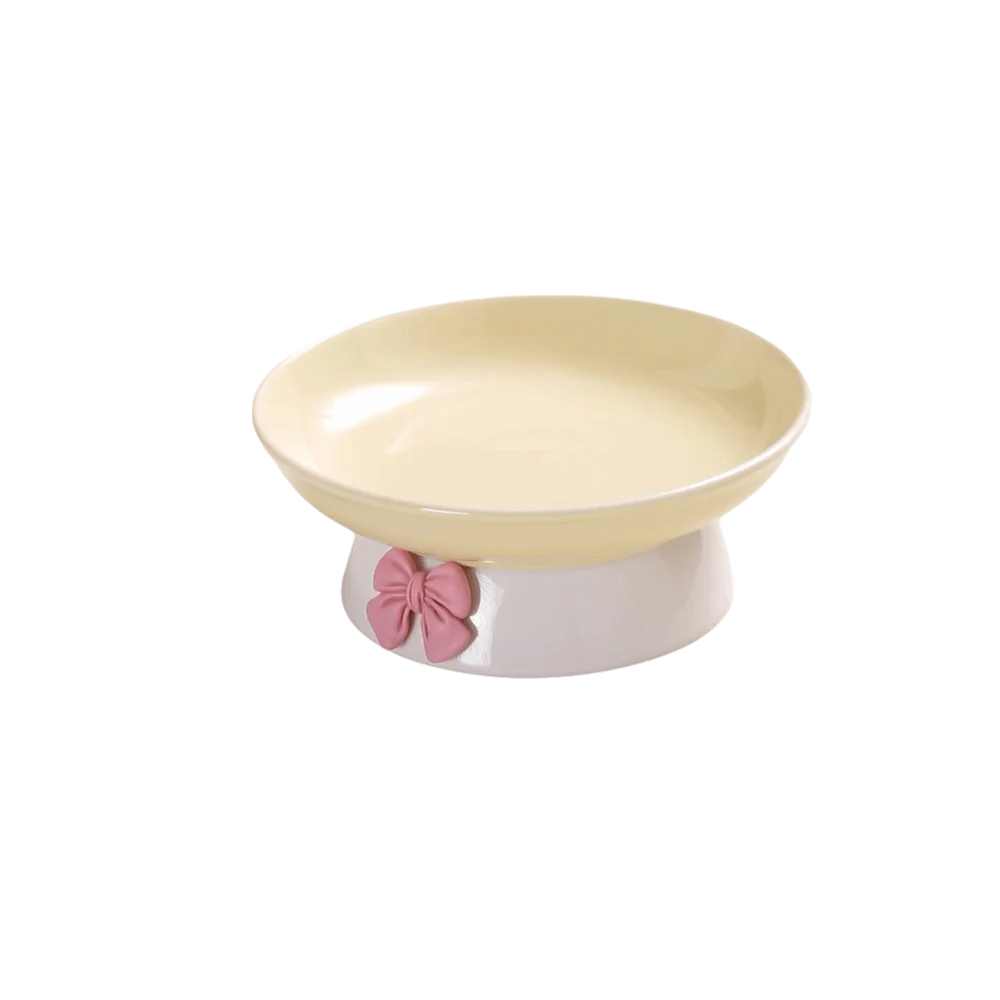 Large Ceramic Pet Bowl with Non-Slip Base