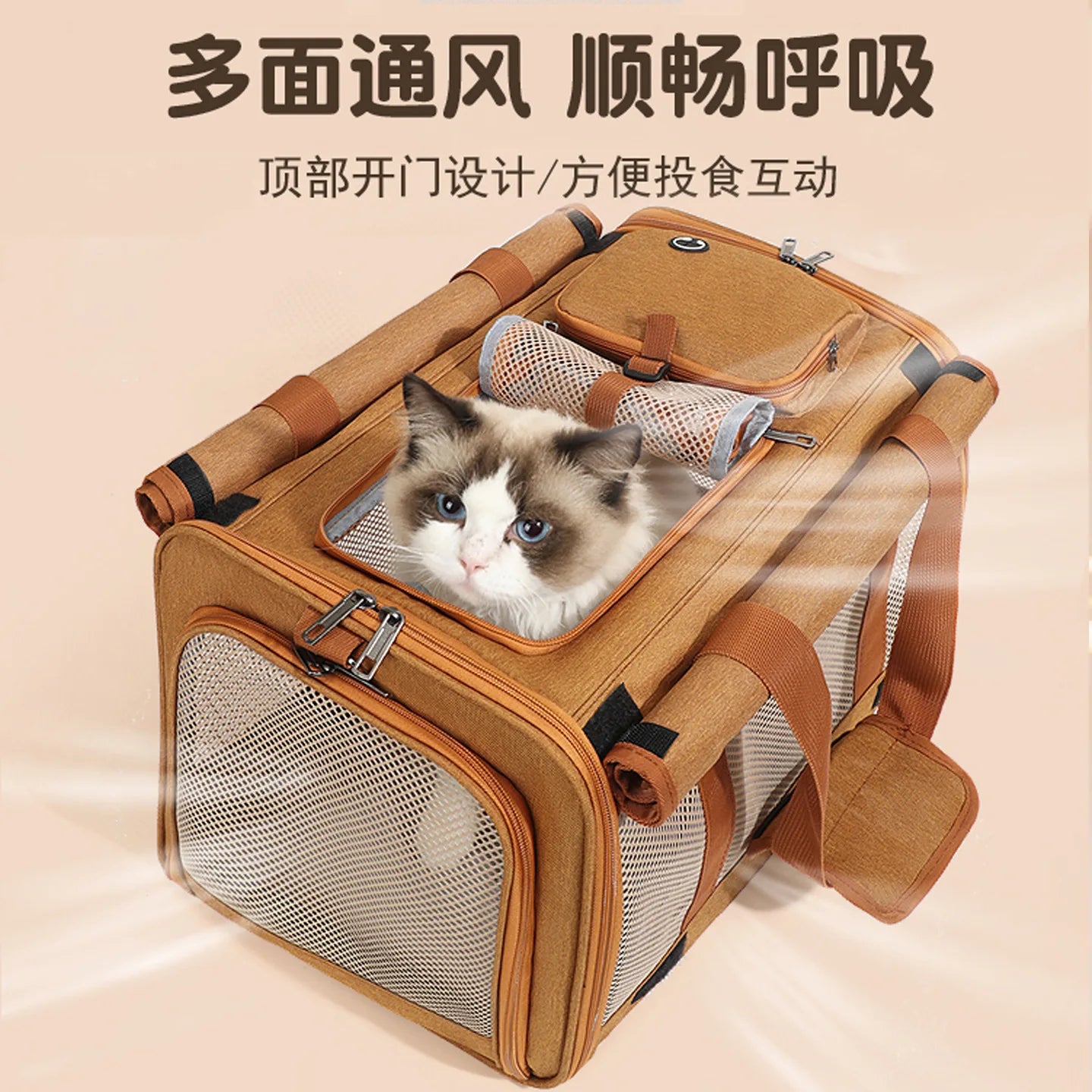 Foldable Breathable Mesh Pet Carrier Tote