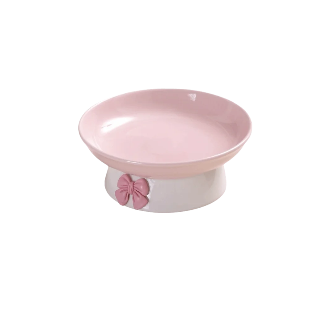 Large Ceramic Pet Bowl with Non-Slip Base