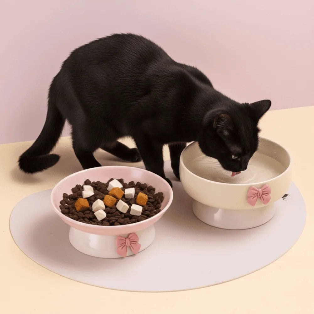 Large Ceramic Pet Bowl with Non-Slip Base