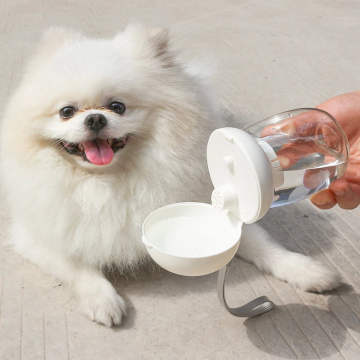Portable Pet Water Bottle Dispenser