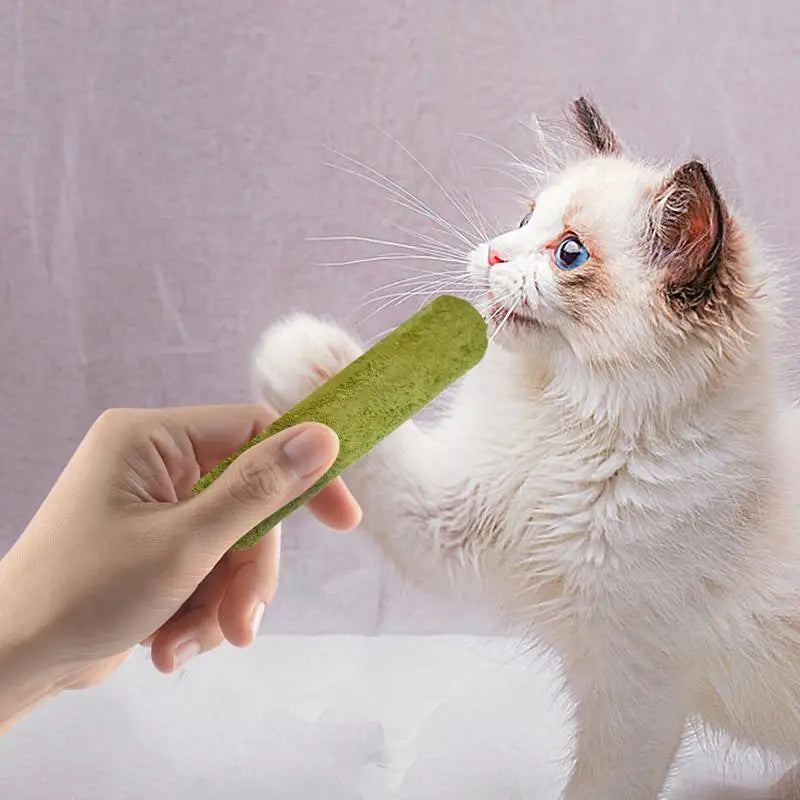 Natural Cat Grass Chew Sticks