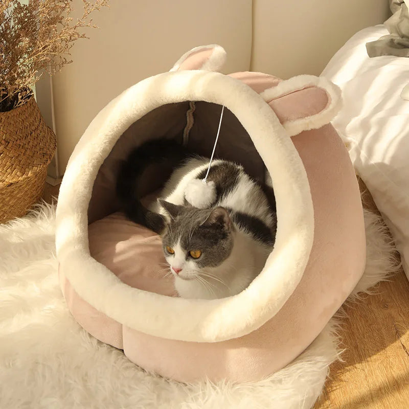 Foldable Washable Cartoon Pet Bed