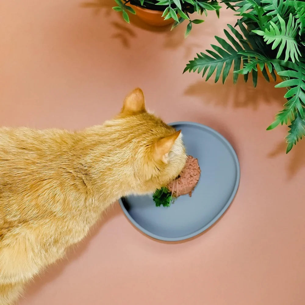 Collapsible Non-Spill Silicone Pet Bowl