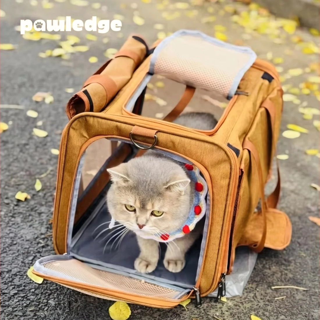 Foldable Breathable Mesh Pet Carrier Tote