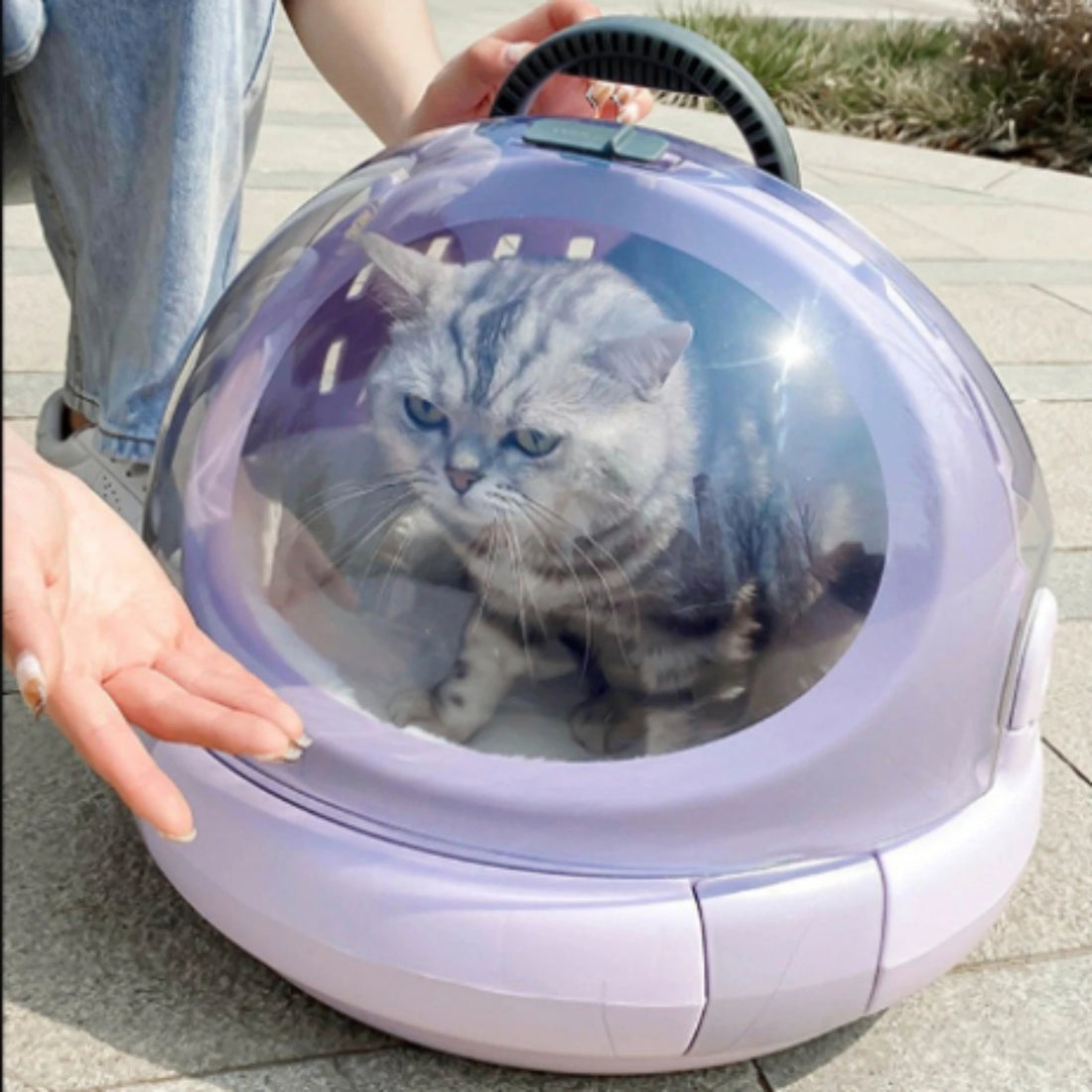 Hard-Shell Cat Carrier Cotton Mat Animal Transport